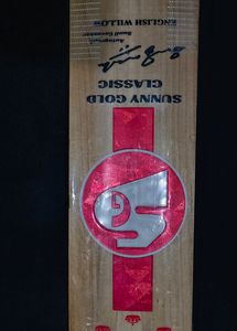 SG GRADE 1 ENGLISH WILLOW