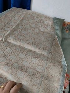 New ,Pastel Green Origanza saree