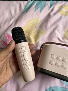 Portable Wireless Microphone and Speaker Set