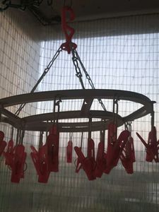 Hanging Clothesline with Clips