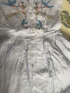 Pure cotton Light Blue Embroidered Dress