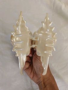 beach aesthetic pinterest sea shell claw clip huge