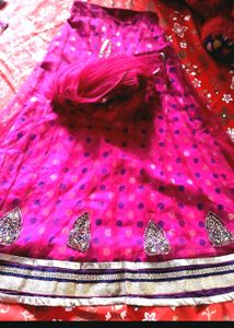 Vibrant Embroidered Lehenga Choli