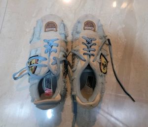 Sport Sneakers