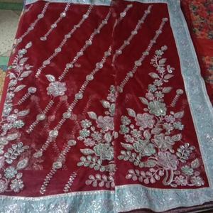 Beautiful ❤️ red saare in simmer net