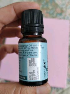 Rosemary Essential Oil