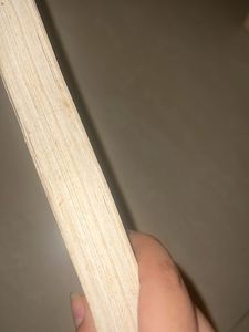 Project Management Book