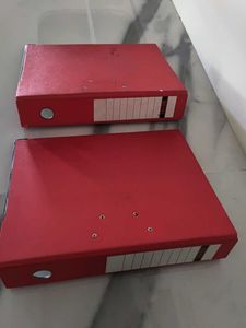 Red Lever Arch Files (2 pcs)