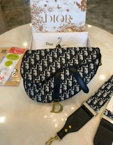 dior saddle bags premium quality next to og