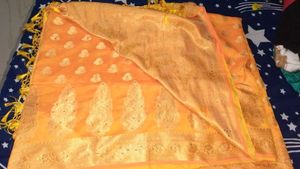 Beautiful Orange Saree