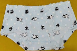 2031 --  clearance sale sample piece panties