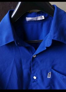 Royal Blue Short Sleeve Button-Up Shirt