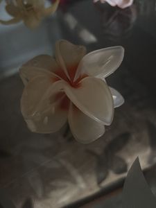 6 Floral Hair Clips and Bow