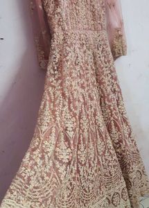 Elegant Expensive Ethnic Gown