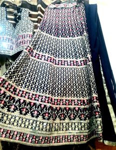 Elegant Embroidered Lehenga Choli Set
