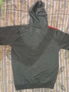 Tommy Hilfiger Colorblock Hoodie