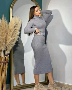 Women Long Ribbed High Neck Dress