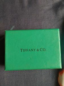 Tiffany &amp; Co. Charm Bracelet 925 silver