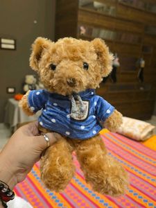 Cute Teddy Bear with Blue Polka Dot Hoodie