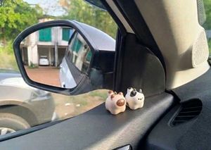 Kawaii Bread Cat Mystery BLINDBOX | Blind box bag