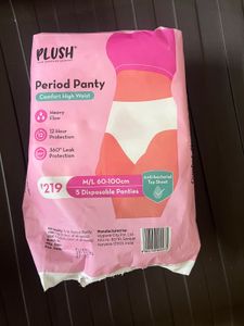 Period Panty(reserved For Clothes_fairy)