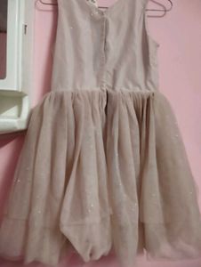 Sparkly net Party Dress