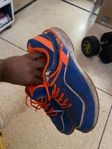 lining badminton
