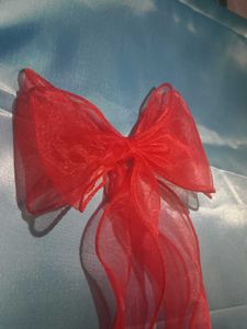 Cute Red Hair Bow 🎀