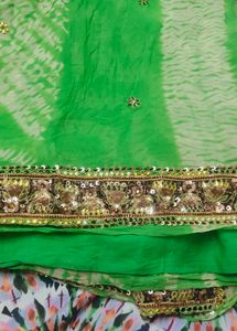 Saree with Embellished Border