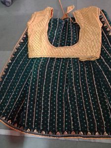 Green & Gold Ethnic  saree with stitched blouse Se