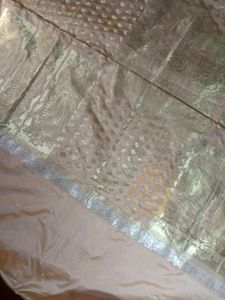 Elegant Peach &amp; Silver Saree
