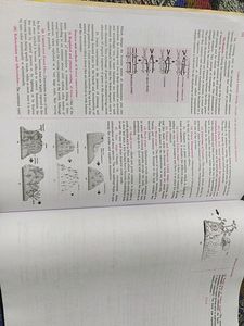 Model Paper 2024 12th All Subject