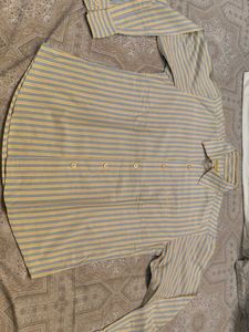 Spykar Striped Button-Up Shirt