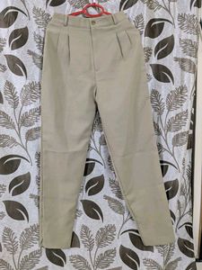 Beige Pleated Trousers - Classic Style
