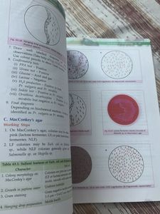 Textbook of Microbiology for Dental Students