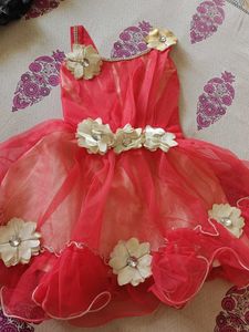 Adorable Flower Girl Party Dress