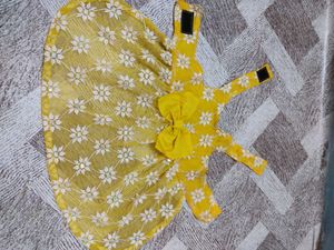 2 Beautiful Cat Dress
