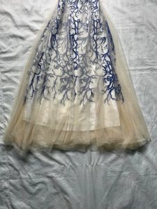 Elegant Blue &amp; White Dress