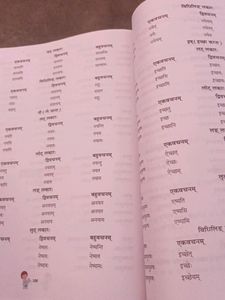 Sanskrit Book Class 8