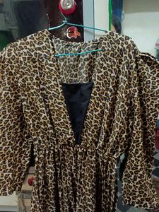 Leopard Print Fit &amp; Flare Dress