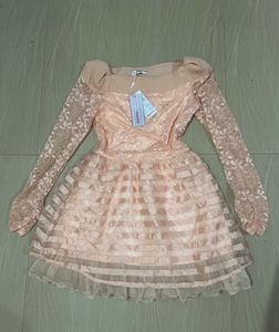 Chic Peach Lace Frock Dress