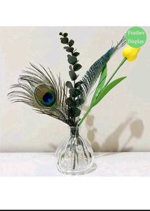 Elegant Peacock Feather Decor(8)