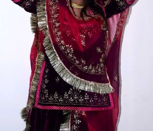 Royal velvet rajputi poshak