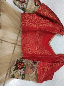 Green Ethnic Skirt with net frok style kurta wit