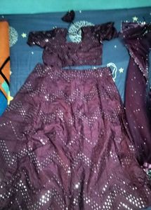 Sparkling Plum Lehenga Choli Set