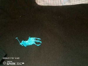 Classic Black Polo Shirt with Teal Accents