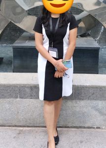 Chic Black and White Panel Dress