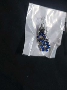 Beautiful Blue &amp; Silver Earrings