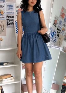 Classic Blue Denim Fit and Flare Dress