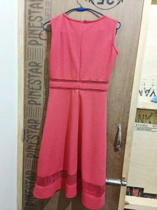 Coral Mesh Panel Fit &amp; Flare Dress